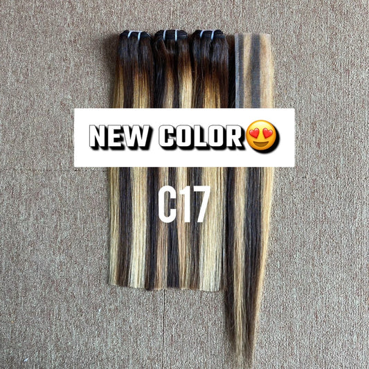 Vietnamese Bone Straight Highlights Hair