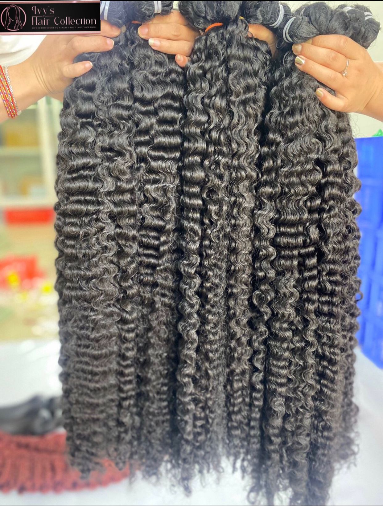 Vietnamese Tight Burmese Curls